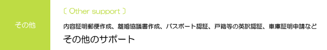 その他のサポート