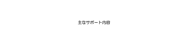 主なサポート内容